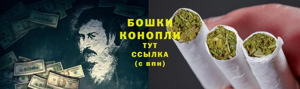 PSILOCYBIN Переславль-Залесский