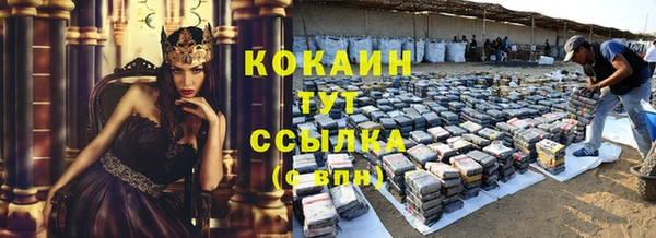 мдпв Пестово