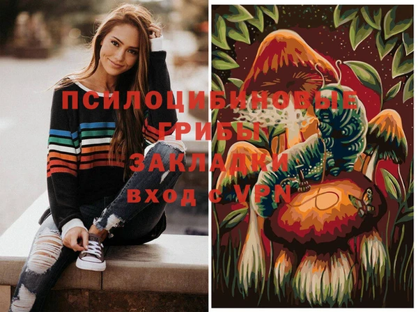 твердый Пересвет
