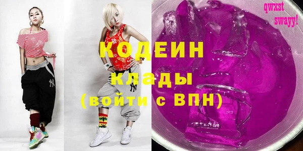 твердый Пересвет