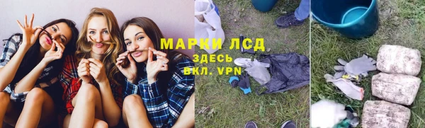 мдпв Пестово