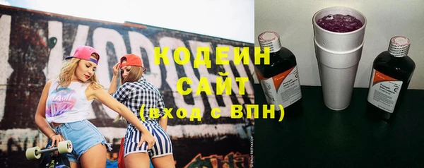 твердый Пересвет