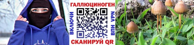 Галлюциногенные грибы Psilocybe  KRAKEN ссылка  мориарти официальный сайт  Реутов 