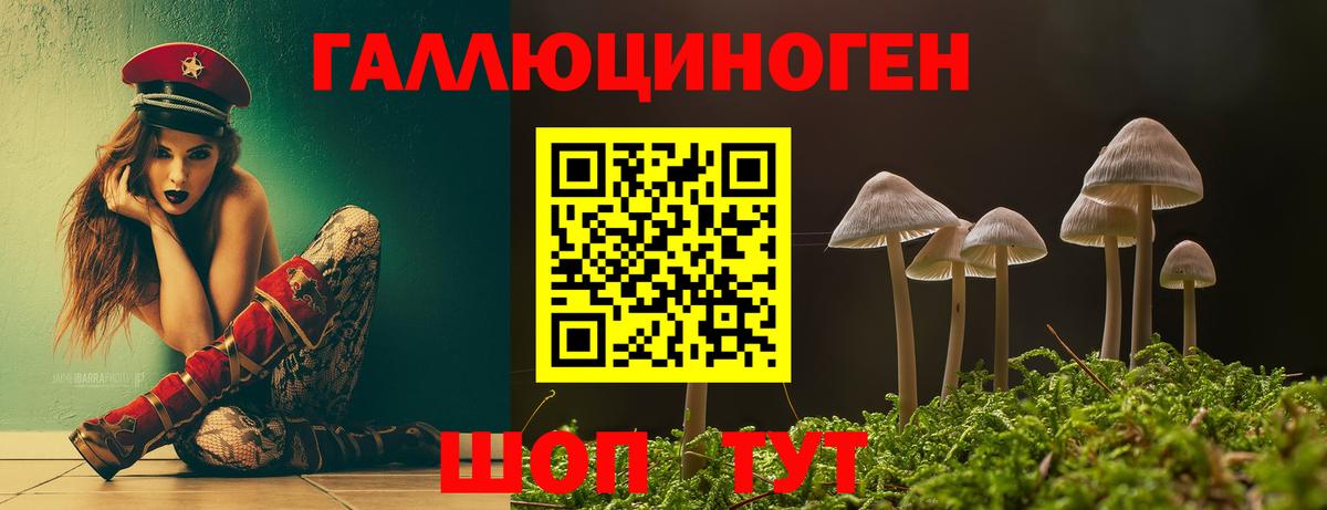 Реутов  Псилоцибиновые грибы Psilocybe  Вход с VPN  Галлюциногенные грибы мухоморы 